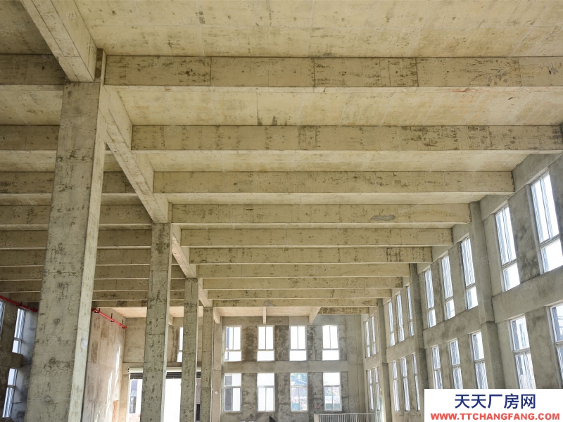 重慶長壽精選食品廠房,園區扶持力度大