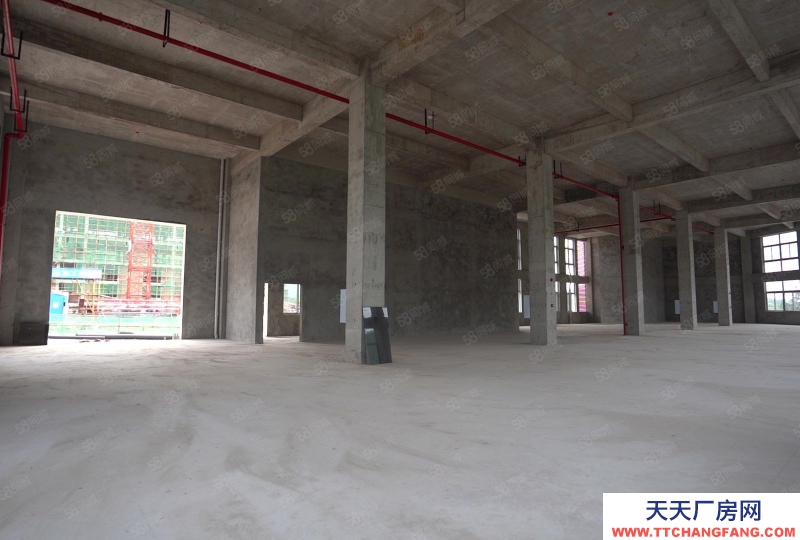 重慶長壽獨棟廠房出售，廠辦一體，實用性強