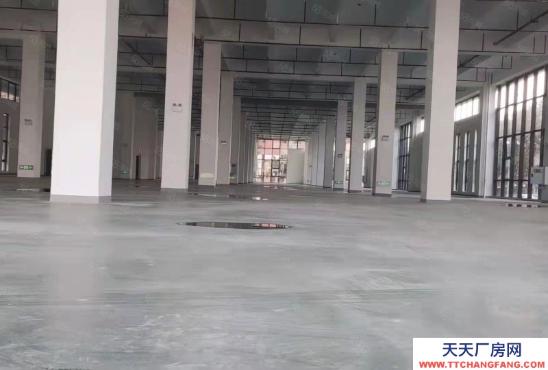 出租 重慶 長壽 獨棟廠房 行業不限