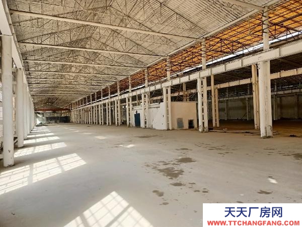 (出租) 鄭州中原各種面積100平米到5000平米大小廠房和倉庫