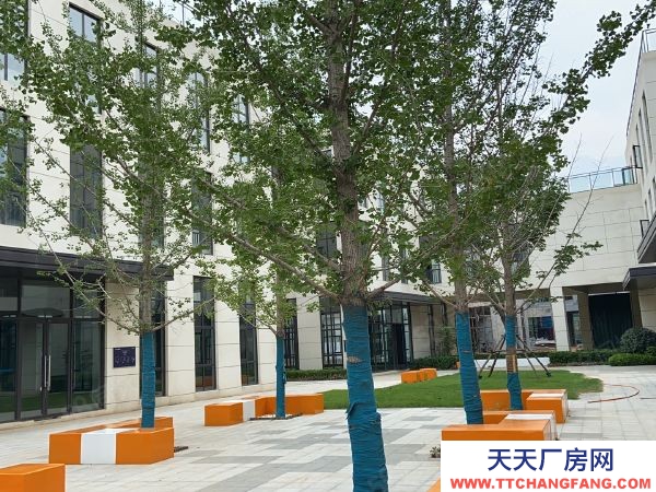 (出售) 鄭州中原薛店,港區周邊平層廠房,企業獨棟