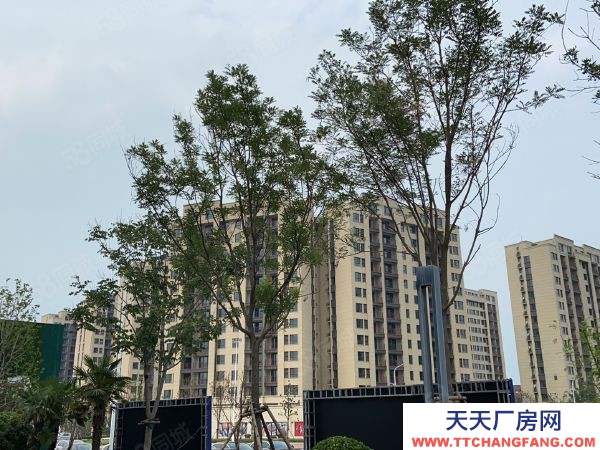 (出售) 鄭州中原薛店,港區周邊平層廠房,企業獨棟