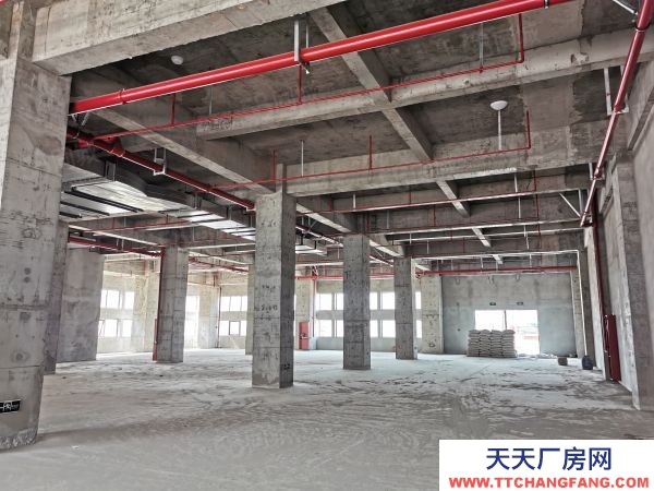 (出租) 全新標準化廠房 租售 宿舍食堂等全面配套