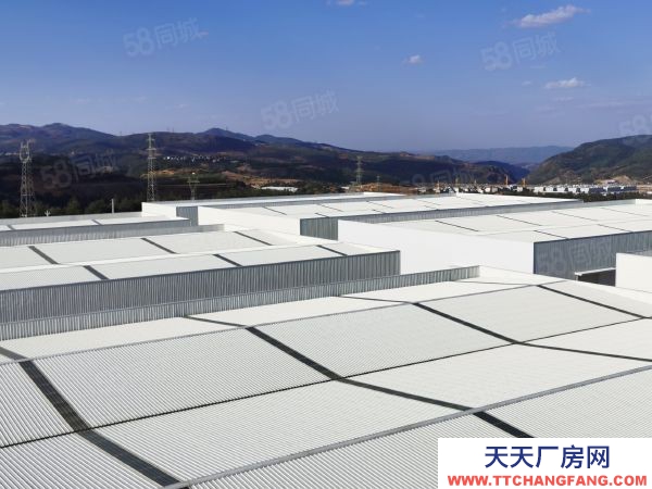 (出租) 澄江萬諾產業園 標準化廠房 倉庫 物業直租