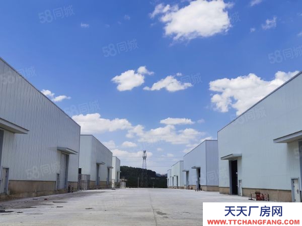 (出租) 澄江萬諾產業園 標準化廠房 倉庫 物業直租