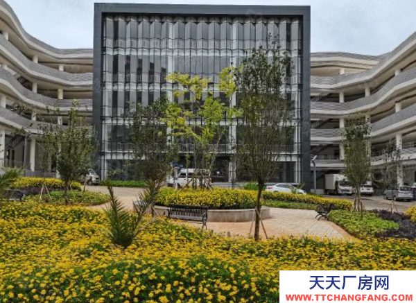 (出租) 國企保障,全新標(biāo)準(zhǔn)廠房出租,無中介,食堂宿舍配套齊全