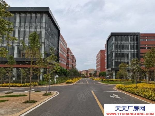 (出租) 國企保障,全新標(biāo)準(zhǔn)廠房出租,無中介,食堂宿舍配套齊全