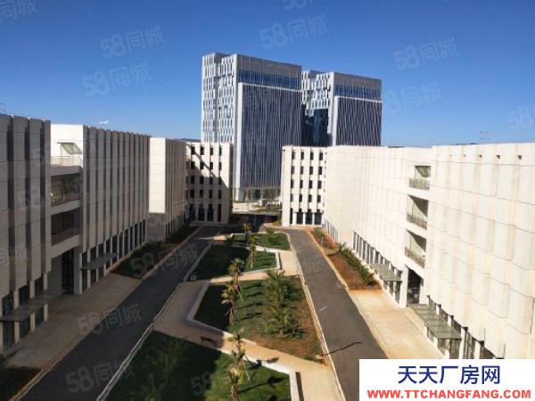 (出租) 國企保障,全新標(biāo)準(zhǔn)廠房出租,無中介,食堂宿舍配套齊全