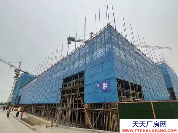 南京市鼓樓區(qū)中國(guó)南山 橋林唯一在售廠房 交通便利 產(chǎn)業(yè)集聚 層高8.1米