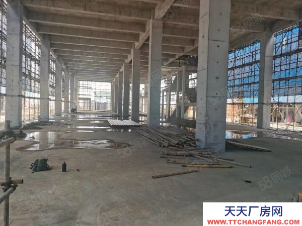 南京市鼓樓區(qū)中國(guó)南山 橋林唯一在售廠房 交通便利 產(chǎn)業(yè)集聚 層高8.1米