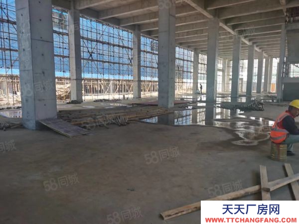 南京市鼓樓區(qū)中國(guó)南山 橋林唯一在售廠房 交通便利 產(chǎn)業(yè)集聚 層高8.1米