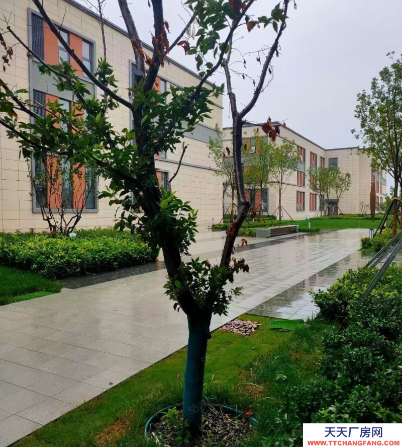 青島市南204國(guó)道旁大產(chǎn)權(quán)廠房 8.1米層高 現(xiàn)房可貸款低首付