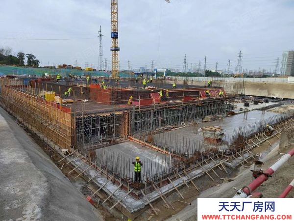 南京市秦淮區金芒果產業園 高速口 雙地鐵 可按揭 生產研發辦公一體