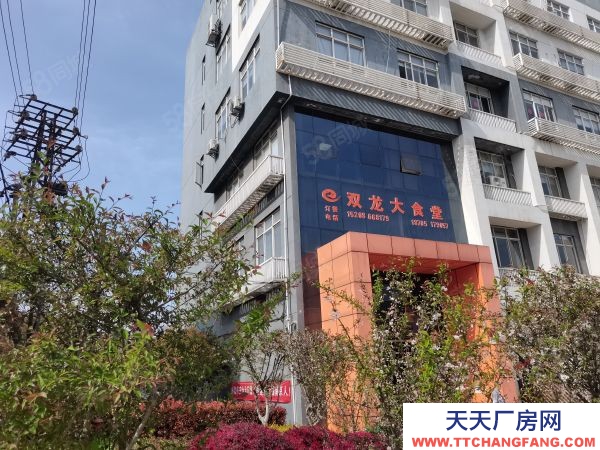 南京市秦淮區非中介南站小獨棟200到1500平可做會所 配套齊全