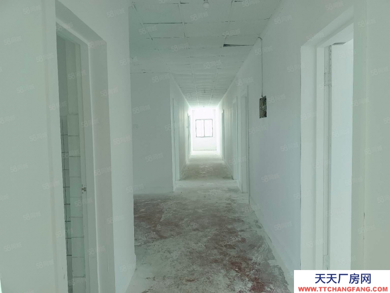 青島市北水清溝1460平獨(dú)棟獨(dú)門(mén)獨(dú)院 加工辦公均可