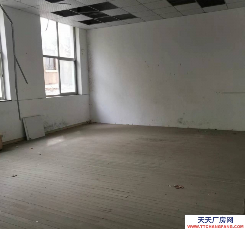 青島市北臺東上清路廠房出租