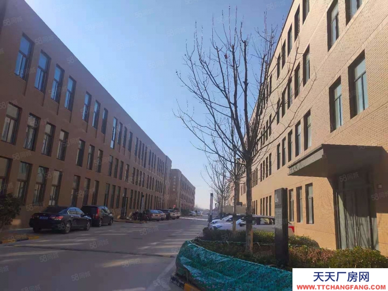 青島市北1600平廠房低價出售