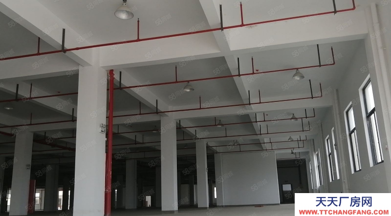 杭州上城(出售) 出售下沙工業區36畝60000多方全新廠房。.