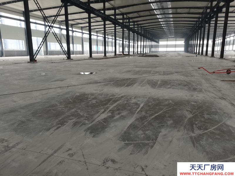 (出租) 重慶永川鳳凰湖工業(yè)園18000平標(biāo)準(zhǔn)鋼結(jié)構(gòu)廠房出租