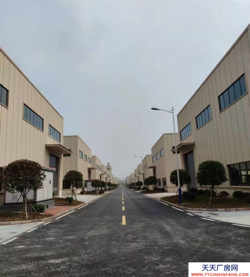 (出售)重慶永川三教 高速路口 單層12米高 鋼架結構 廠房行業不限