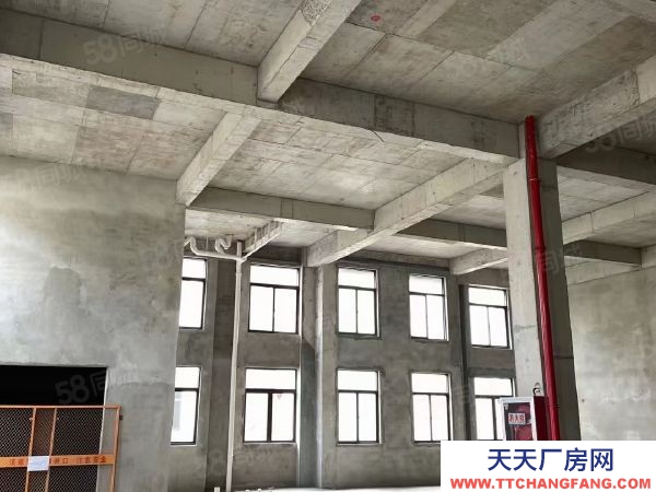 南京市六合區現房出租 急租 給錢就租