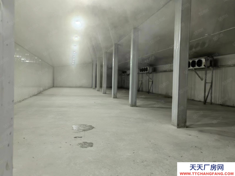 青島市北 防空洞高端冷庫出租 層高6米 可長簽