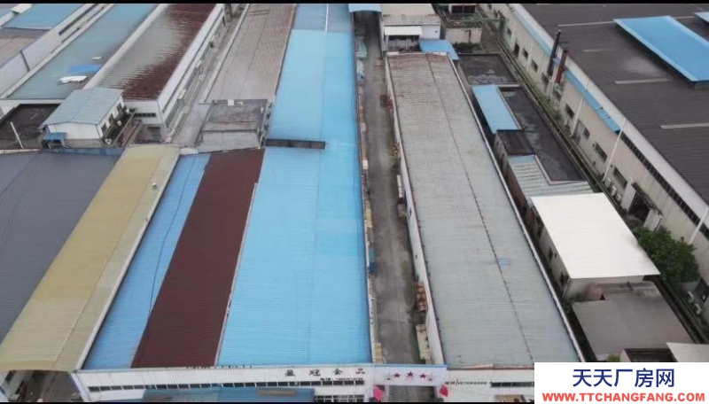 (出售) 重慶永川鳳凰湖工業園廠房一棟