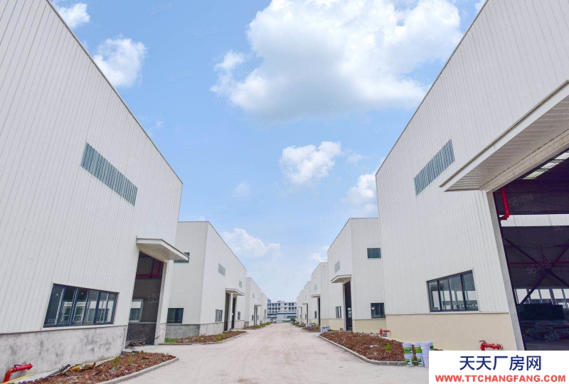 (出售) 重慶永川高速路口旁!12米單層鋼結構出租出售!