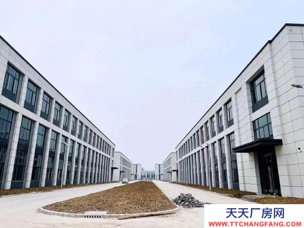 南京市六合區急急 天長市開發區 坤安智造 5萬平直售