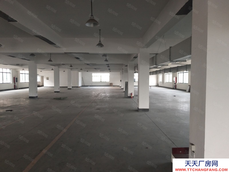 杭州蕭山(出租) 進化鎮獨門獨院標準廠房