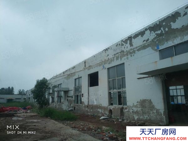 南京市六合區獨門獨院六合化工園占地30畝單層廠房4000多平兩證齊全