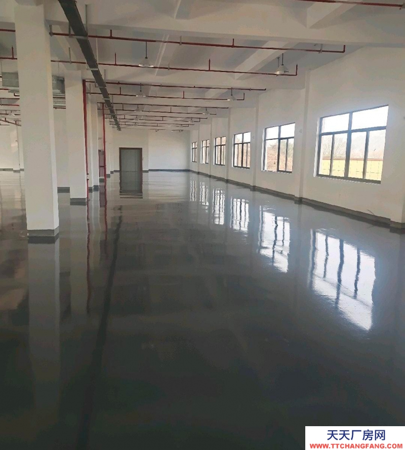 杭州蕭山(出租) 杭州西復(fù)線(xiàn)二繞高速諸暨應(yīng)店街出口處標(biāo)準(zhǔn)廠(chǎng)房