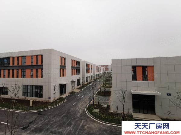 南京市 雨花核心區！高速口首付2成 單層多層獨棟！均價3000元起