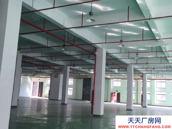 南京市雨花臺區價格洼地價值高地產業新高地低總價獨棟現房出售