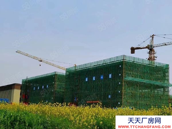 南京市雨花臺區 獨棟1600平標準廠房出售!可掛墻體品牌,50年雙證大產權