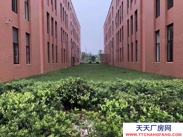 南京市雨花臺區 獨棟1600平標準廠房出售!可掛墻體品牌,50年雙證大產權