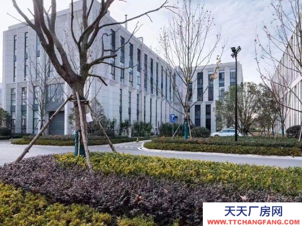 南京市雨花臺經濟開發區，青年路，花園式獨棟和分層產業載體，制造研發