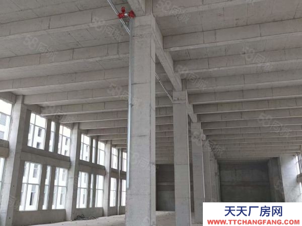 南京市雨花臺經濟開發區，青年路，花園式獨棟和分層產業載體，制造研發