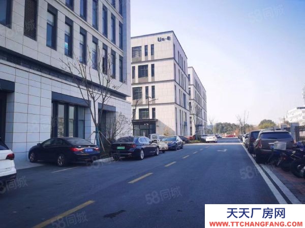 南京市雨花臺經濟開發區，青年路，花園式獨棟和分層產業載體，制造研發