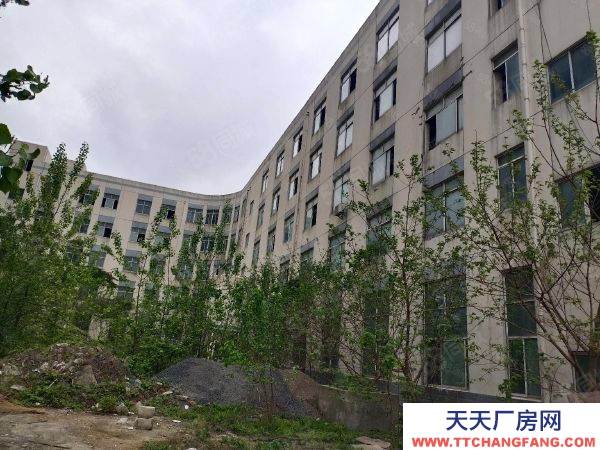 南京市雨花臺區獨門獨院 雨花開發區工業園 廠房 占地10畝 兩證齊全