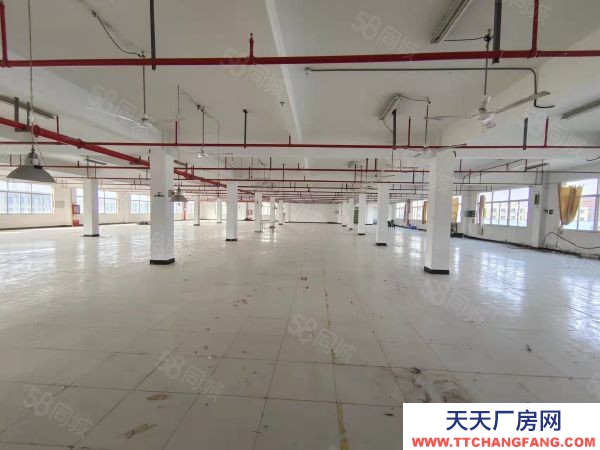 南京市雨花臺區空港溧水柘寧東路標準廠房200~4000平辦公倉儲輕加工招租