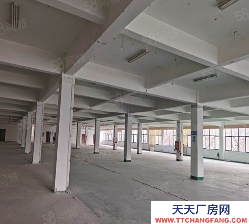 南京市雨花臺區空港溧水柘寧東路標準廠房200~4000平辦公倉儲輕加工招租