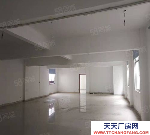 南京市雨花臺區空港溧水柘寧東路標準廠房200~4000平辦公倉儲輕加工招租