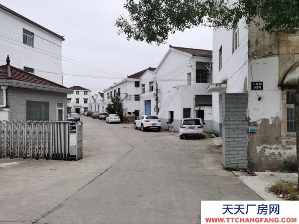 南京市雨花臺區 123省道邊（老寧溧公路）廠房出租