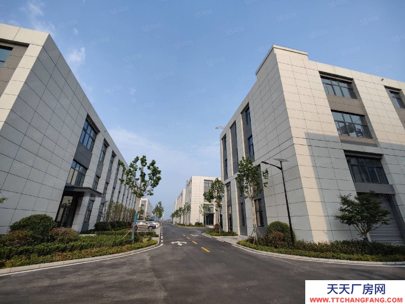 青島黃島王臺新舊動能轉換區 獨棟廠房 準現房