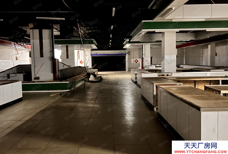 青島黃島區珠山街道人民路4000平廠庫房出租，無中介