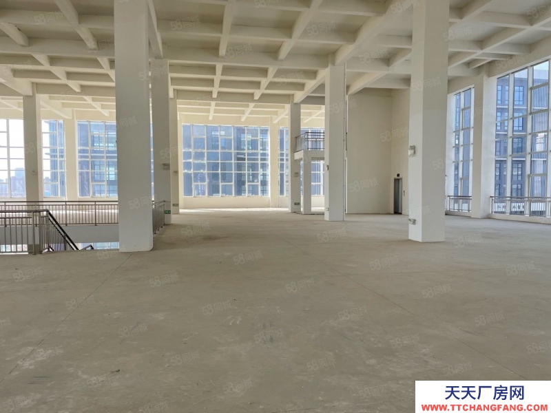 青島黃島50年產權廠房 大平層 層高8米 可定制