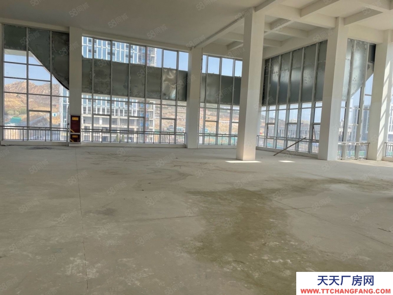 青島黃島3000平獨(dú)棟廠房 送露臺 低總價(jià) 首付低