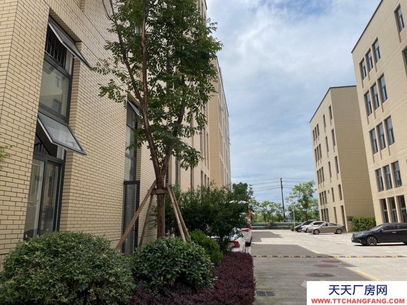 杭州蕭山(出售) 園區(qū)廠房裝修完好,設(shè)施齊全