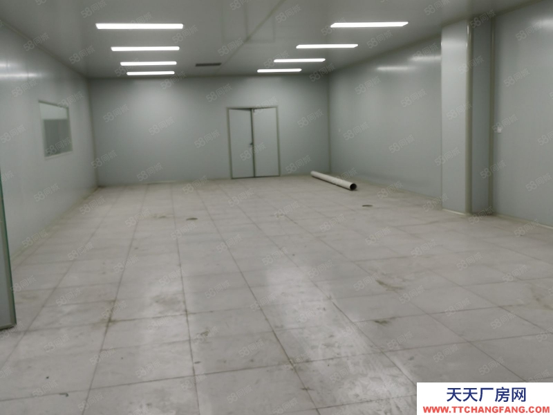 (出售) 低首付現房(租售)食品央廚醫療檢測生物研發!燃氣排污丙類消防